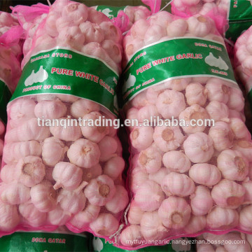 10kg bags garlic for Congo